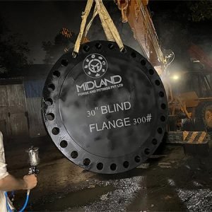 Blind Flange