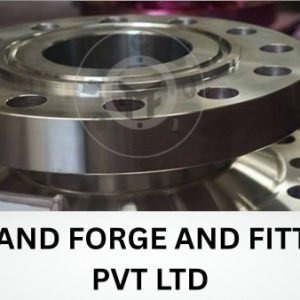 Ring Type Joint Flange