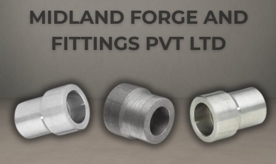 ASME B16.11 Forged Socket Weld Reducer Insert