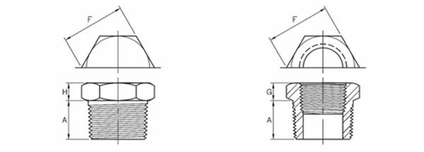 Dimensions of ASME B16.11 Hex Head Plug